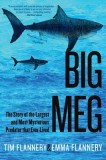 Big Meg: The Story of the Largest and Most Mysterious Predator That Ever Lived