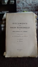 DOCUMENTE DE PE VALEA TELEAJENULUI - ELEONORA ALEXIU foto