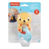 FISHER PRICE JUCARIE ZORNAITOARE VIDRA