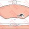 Set placute frana,frana disc AUDI A4 Avant (8D5, B5) (1994 - 2001) TRW GDB826
