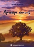Cumpara ieftin Aproape amurg/Mihai Istudor
