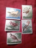 Serie mica San Marino 1960 - Pasari - , 5 valori