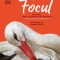 Focul, Daniela Krien - Editura Humanitas Fiction