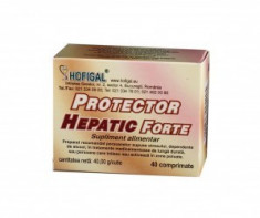 Protector hepatic forte 40 comprimate - Hofigal foto
