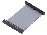 Cablu panglică SAMTEC IDC 50,8mm FFSD-25-D-02.00-01-N-R cu conectori IDC ambele părți