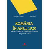 Romania in anul 1920. Eforturi pentru consolidarea statala. Culegere de studii - Gheorghe Sbarna, Ioan Opris