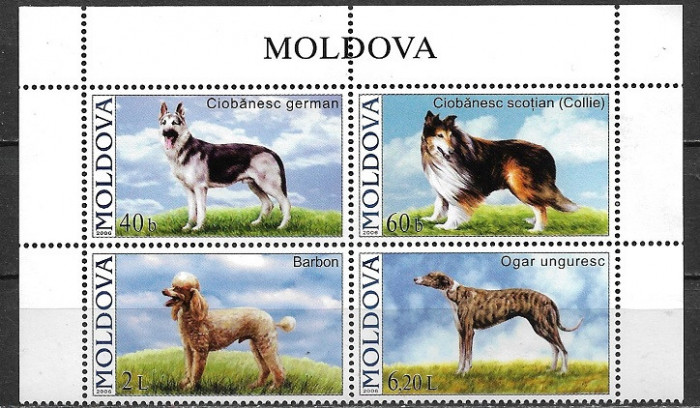 B3518 - Moldova 2006 - cat.nr.489-92 bloc de patru neuzat,perfecta stare