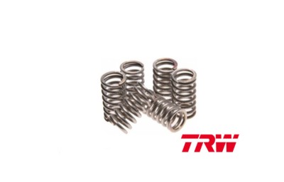 Set arcuri ambreiaj YZ 250 99- 17, WRF 426 03- 04, YZF 426 01- 02, YZF 450 03- 07, YZF 600 R6 03- 05, TDM 850 96- 09, (EBS092) foto