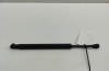 Amortizor haion dreapta BMW X5 G05 2022 OEM: 7950119 31263220