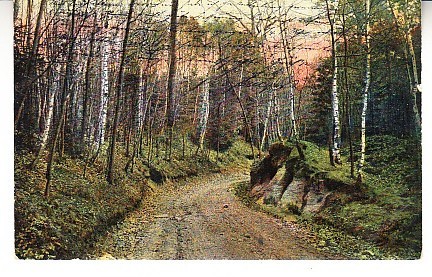 D11 A 28 - Felicitare de colectie - circulata la 1905 - Frankfurt