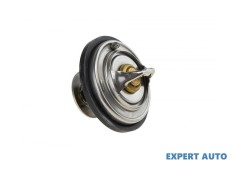 Termostat Audi A6 Avant (2008-2011 , facelift ) [4F2, C6] #1