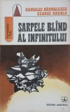 Sarpele bland al infinitului - Romulus Barbulescu