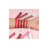 Set 6 rujuri de buze, Young Vision, Lip Gloss