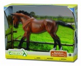 Figurina in cutie Iapa Thoroughbred Bay pictata manual WB Collecta