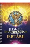 Jurnalul indumnezeitor al practicii iertarii - Ioana Pintilescu