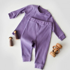 Set bluzita cu maneca lunga si pantaloni lungi din bumbac organic si 5% elastan - Mov, BabyCosy (Marime: 12-18 Luni)