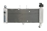 Radiator pentru APRILIA RS, RS4, TUONO; DERBI GPR 50/125 2009-2023
