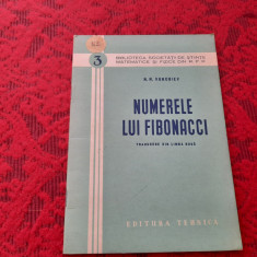 NUMERELE LUI FIBONACCI N.N VOROBIEV RF14/4