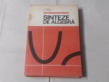 C.DINESCU \ B.SAVULESCU - SINTEZE DE ALGEBRA