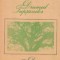 Drumul Tupsanilor, Volumul al II-lea