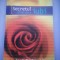 Secretul artei de a iubi - Josh McDowell