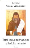 Intre iadul deznadejdii si iadul smereniei - Siluan Athonitul