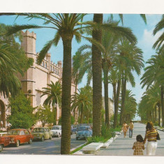 SP1 - Carte Postala - SPANIA - Palma de Mallorca, necirculata