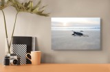 Tablou Canvas Natură Ocean Țestoasă Răsărit Plajă Pasiune, 39 x 26 cm, CMCLASS