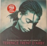 Terence Trent D&#039;Arby &lrm;&ndash; Introducing The Hardline According To Terence Trent D&#039;Arby _ NM / NM vinil, LP, disc electronic blues _ CBS, Olanda, 1987