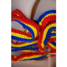 Banda pliata,latime 2.5 cm, Tricolor