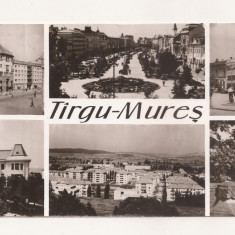 RF34 -Carte Postala- Targu Mures, format lung, circulata 1968