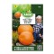 Seminte legume Amia B, dovleac Big Max