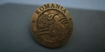 QW9 N2 73 - insigna - militar - misiune Afganistan foto