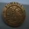 QW9 N2 73 - insigna - militar - misiune Afganistan
