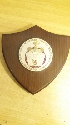 D15 5 - Placheta - tematica militara - regiuniea militara Tosco Emiliana foto