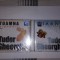 Tudor Gheorghe Iarna simfonic ?i Toamna simfonic CD