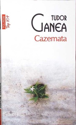 CAZEMATA-TUDOR GANEA-354279 foto