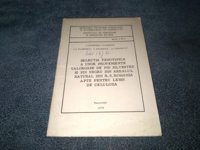 SELECTIA FENOTIPICA A UNOR PROVENIENTE VALOROASE DE PIN SILVESTRU SI PIN NEGRU foto