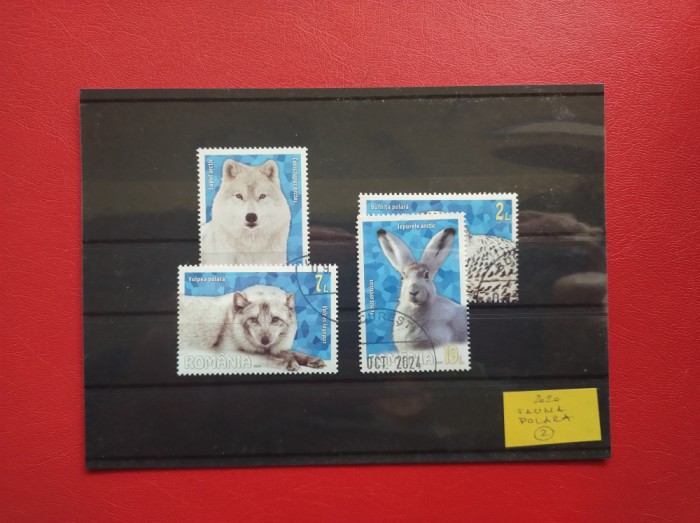 2020 - FAUNA POLARA ( 2 )