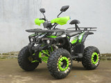 ATV KXD MARSH PRO 004-3, Athena