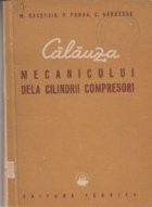 Calauza mecanicului de la cilindrii compresori foto