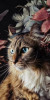 Husa Personalizata SAMSUNG Galaxy A2 Core Pisica