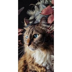 Husa Personalizata HUAWEI P20 Lite Pisica