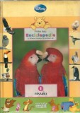 Cumpara ieftin Prima mea enciclopedie cu Winnie Ursuletul si prietenii sai. (volumul 1) Pasarile
