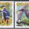 Cook Insule 2005 - Păsări - Parcul Național Suwarrow, MNH