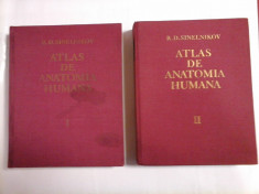 ATLAS DE ANATOMIE UMANA - SINELNIKOV - Volumele 1 si 2 - in limba spaniola foto