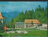 CPI B13937 CARTE POSTALA - PREDEAL. PARAUL RECE, Circulata, Fotografie