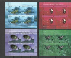 ARGENTINA 2002 FAUNA INSECTE foto