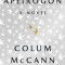 Apeirogon: A Novel