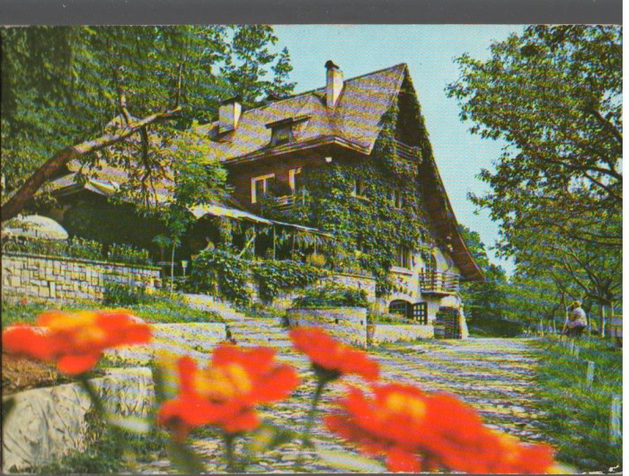 CPI B14337 CARTE POSTALA - MORENI. POPASUL TURISTIC